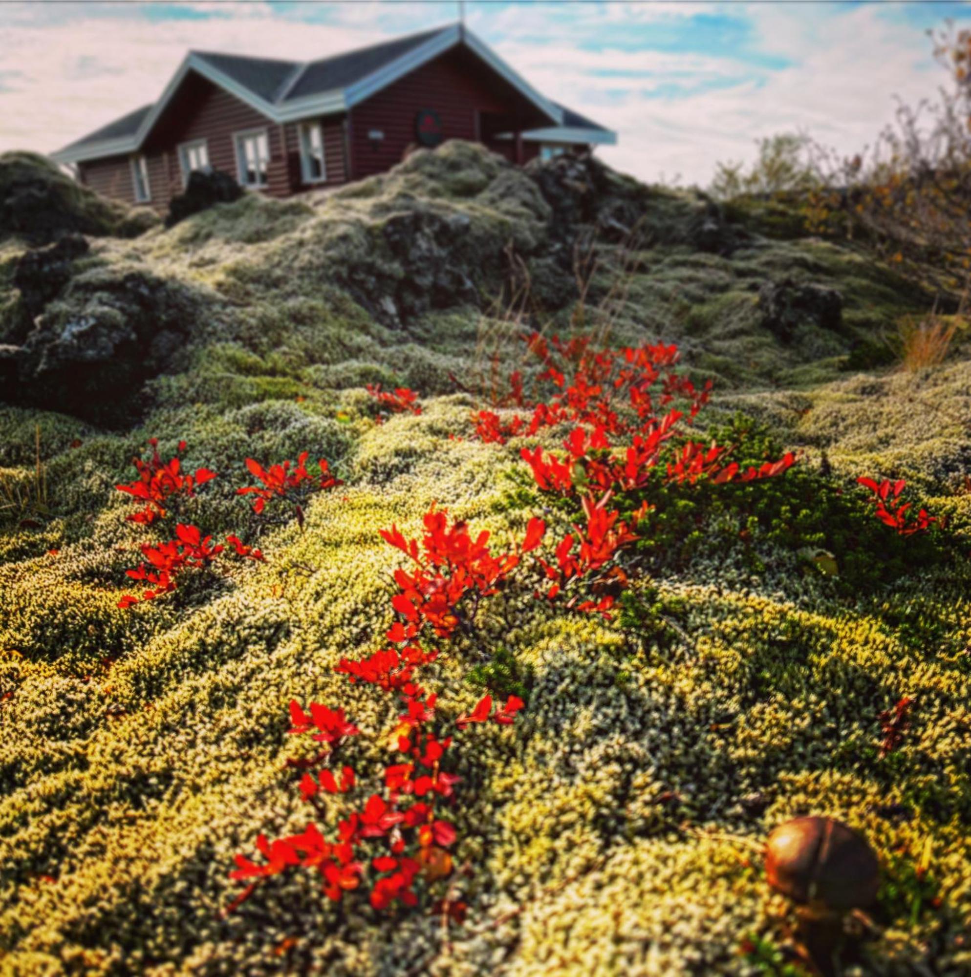 House In Lava Βίλα Bifrost Εξωτερικό φωτογραφία