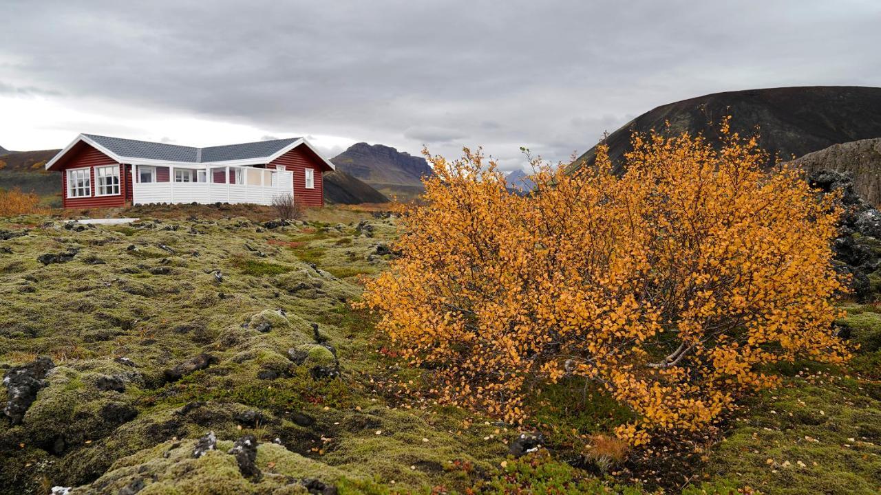 House In Lava Βίλα Bifrost Εξωτερικό φωτογραφία